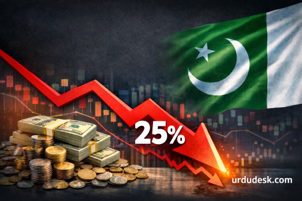 ChatGPT Image Dec 18, 2025, 06_59_37 PM