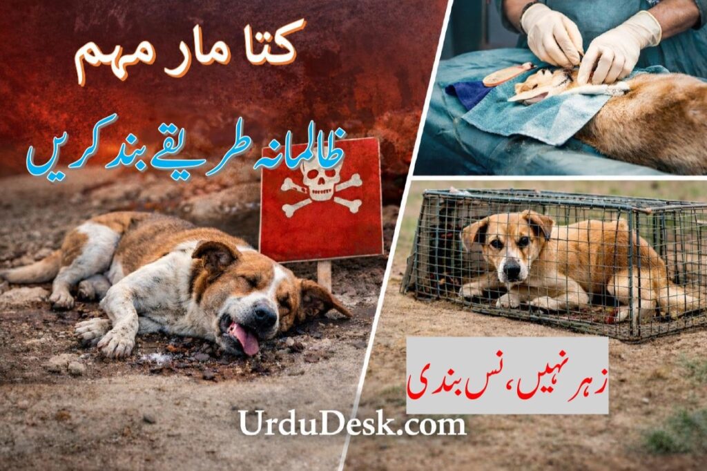 Doc1 Page 0001 1024x682