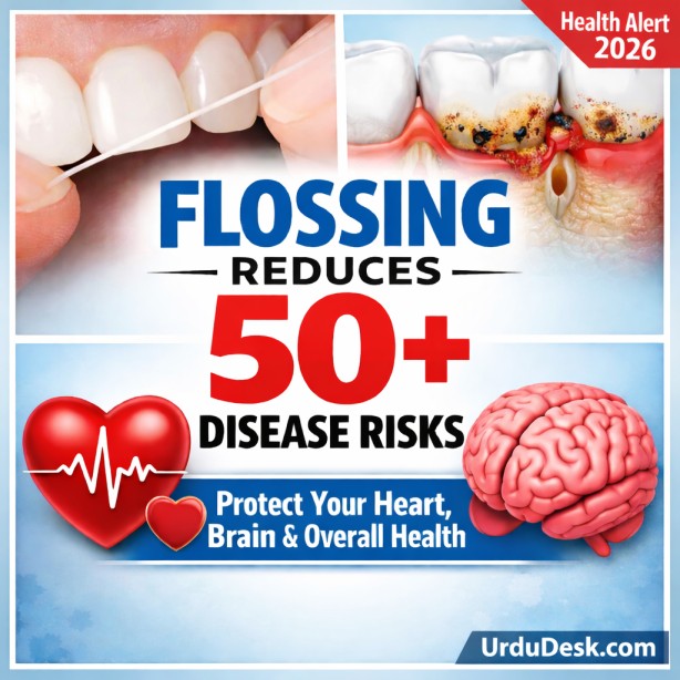 ChatGPT Image Feb 19, 2026, 09_22_16 AM