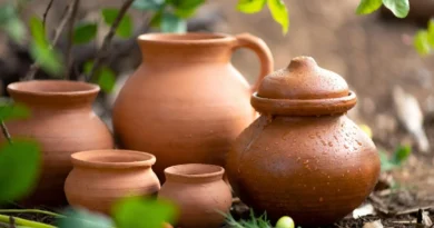 مٹی کے برتنوں کا استعمال: صحت، روایت اور جدید سائنس کا سنگم