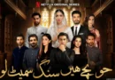 Fawad Khan and Mahira Khan in Netflix series Jo Bachay Hain Sang Samait Lo