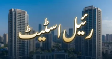 رئیل اسٹیٹ Real Estate انویسٹمنٹ اور پراپرٹی کے کاروبار کے بارے میں معلوماتی تھمب نیل