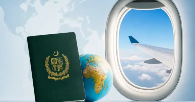 A green Pakistani passport placed next to a miniature globe and a toy airplane on a clean wooden surface, representing international travel.