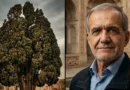 A side-by-side thumbnail showing Iranian President Masoud Pezeshkian and the 4500-year-old ancient Cypress tree of Abarkuh under a dramatic sky.