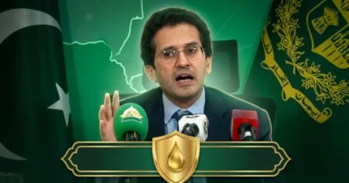 Federal Minister for Petroleum Ali Pervaiz Malik addressing a press conference regarding gas price relief for domestic consumers in Pakistan.