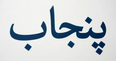 A bold and large Urdu text reading 'Punjab' written in dark blue ink centered on a clean white textured paper background, designed as a minimalist video thumbnail.