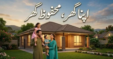 پنجاب حکومت کی اپنا گھر محفوظ گھر اسکیم کا پاکستانی اسٹائل خوبصورت تھمب نیل