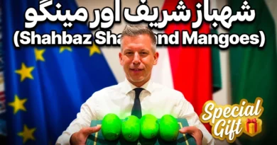 Hungarian Prime Minister Péter Magyar holding a gift box of Pakistani mangoes sent by Prime Minister Shehbaz Sharif, with Pakistan and Hungary flags in the background.