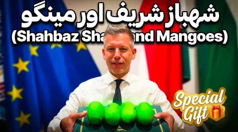 Hungarian Prime Minister Péter Magyar holding a gift box of Pakistani mangoes sent by Prime Minister Shehbaz Sharif, with Pakistan and Hungary flags in the background.