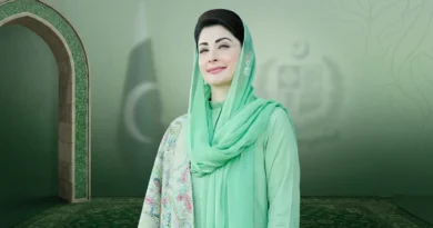 حکومت پنجاب مریم کو بتائیں اسکیم 10 ہزار روپے امداد