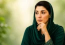 پنجاب میں مریم نواز حکومت کی پرائیویٹ اسکولوں کے خلاف کارروائی اور پیرا فورس کا استعمال۔