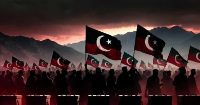 آزاد کشمیر انتخابات کے بائیکاٹ کی خبر کے لیے پی ٹی آئی کا جھنڈا