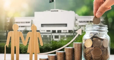 پاکستان میں وفاقی حکومت کے نئے شراکتی پینشن سسٹم 2024 کا تصویری خاکہ