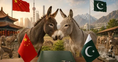 Pakistan China joint donkey industry research center and breeding facility in Gwadar